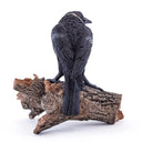 D21173 Celtic Raven Figurine Back View Gaelsong
