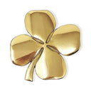 D22213 POLISHED BRASS Irish Four Leaf Clover Wall Decor - Friendship Blessing Gaelsong
