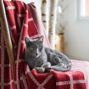 Plaid Merino Wool Check Blanket in Rose Lifestyle Gaelsong
