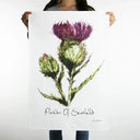 D50653 Scottish Thistle Tea Towel Gaelsong