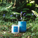 D67040 Spring Scottish Bluebell Candle Gaelsong