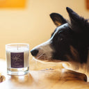 D67049 Natural Wax Lavender Highland Candle Lifestyle Gaelsong