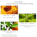 Orange Blossom Wild Lime Verbena Gaelsong