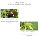 Wild Fig Blackcurrant Vanilla GAELSONG