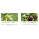 Handmade Irish Candle - Fig, Vanilla & Blackcurrants studio Gaelsong

