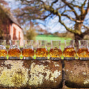 Pewter Highland Cow Whisky Glass  Gaelsong
