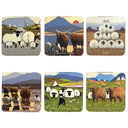 D68711 Cork Base Sheep Irish Coaster Gaelsong