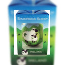 D91256S Luck of the Irish Favor Bauble Set of 6 Gaelsong
