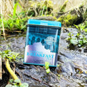 Scotland Loose Leaf Breakfast Tea Lifestyle  Gaelsong