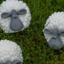 Vegan Curragh Sheep Handmade Soap Gaelsong