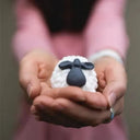 Vegan Curragh Sheep Handmade Soap Lifestyle Front View Gaelsong